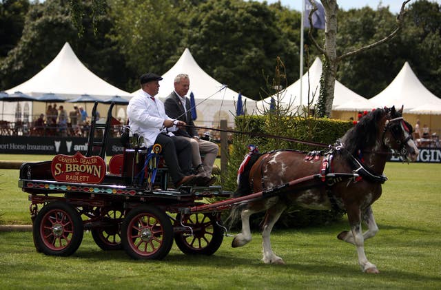 Equestrian – Longines Royal International Horse Show – Day Six – Hickstead