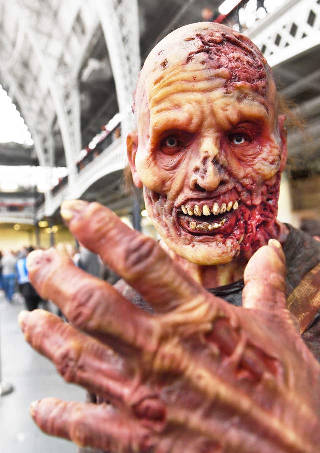 The Walker Stalker