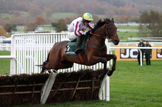 Buddy One has been a standout performer for Paul Gilligan 