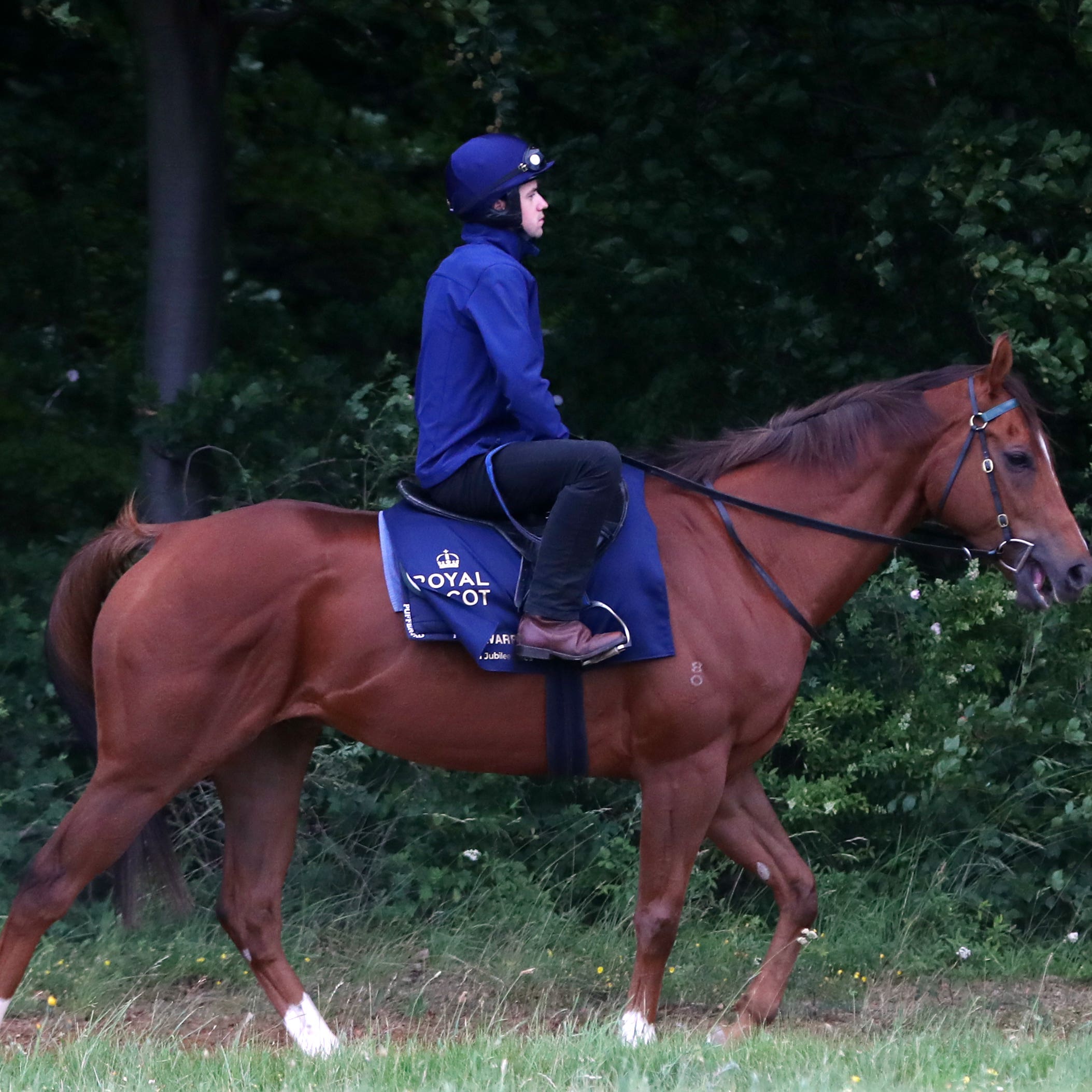 Redkirk Warrior has been based in England for several weeks