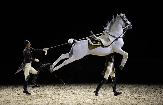 A white horse jumping with two riders behind