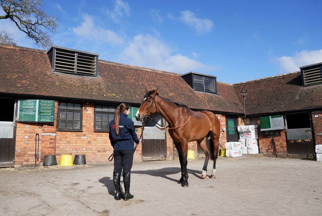 Stay Away Fay with a stable hand during a visit to Manor Farm Stables 