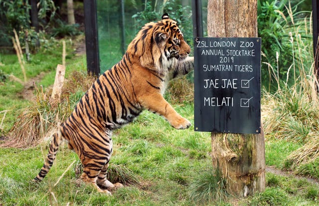 ZSL London Zoo annual stocktake