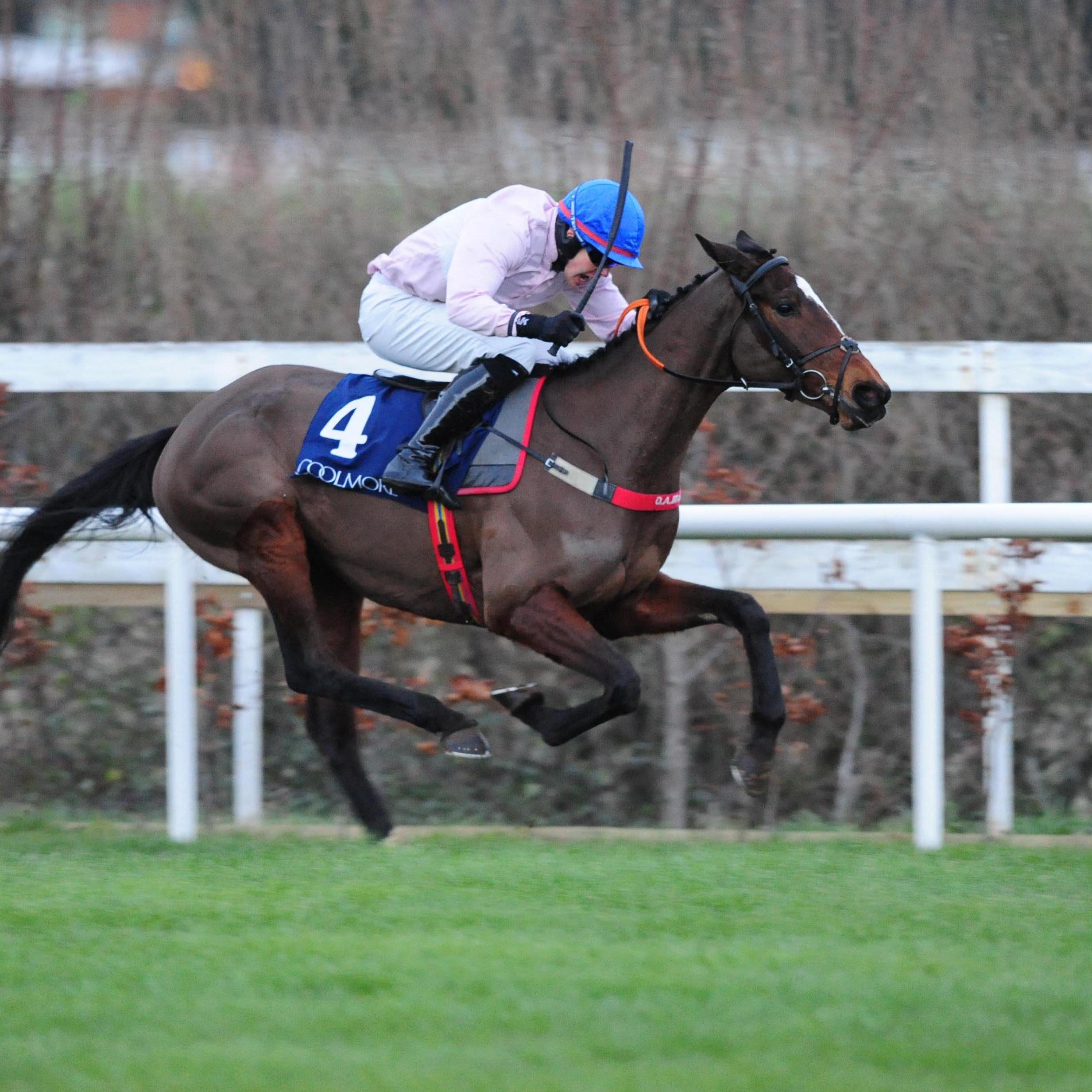 Santa Rossa stretches clear at Leopardstown