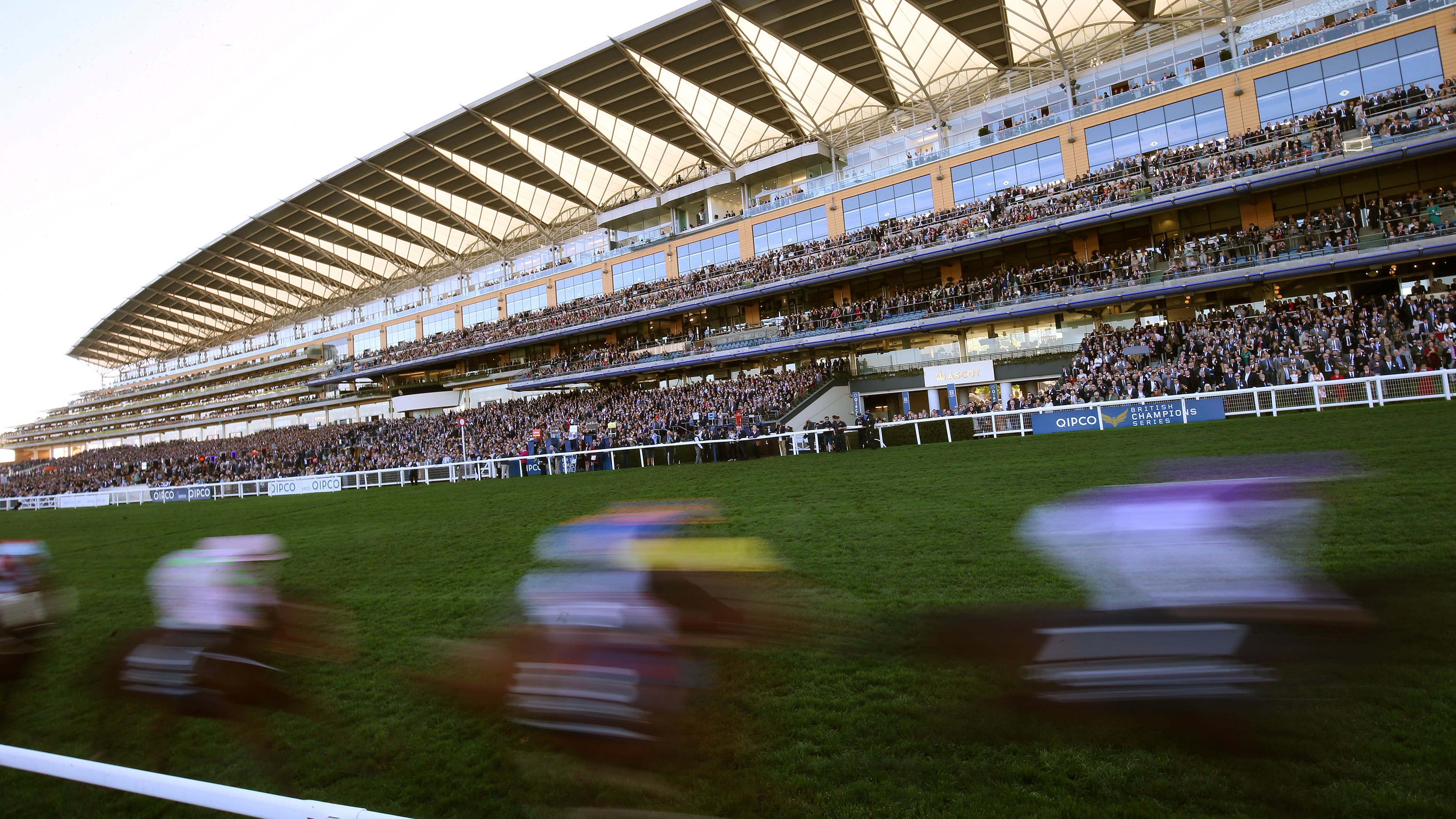 Inner course an option on Champions Day following heavy rain at Ascot