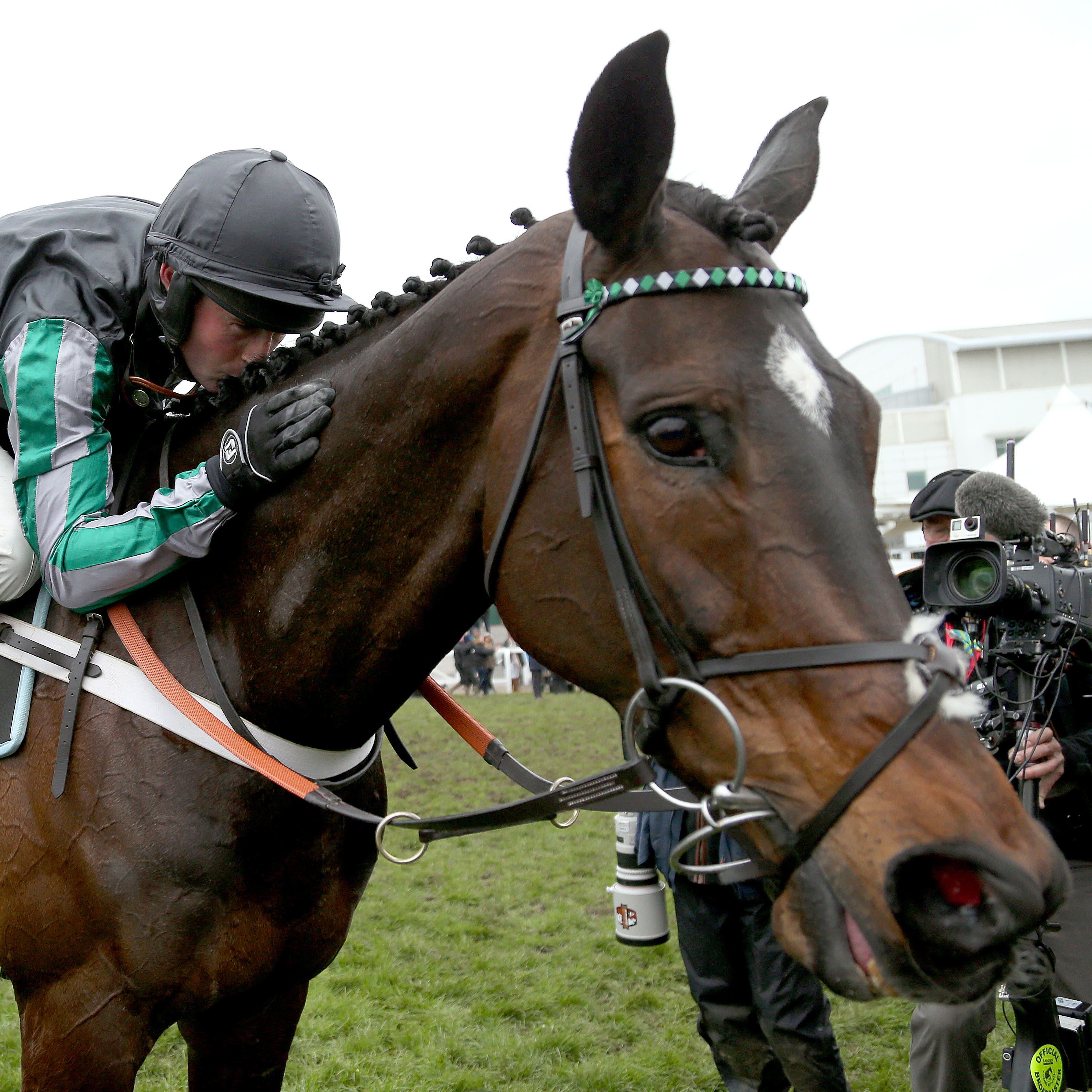 Altior after winning his second Queen Mother Champion Chase