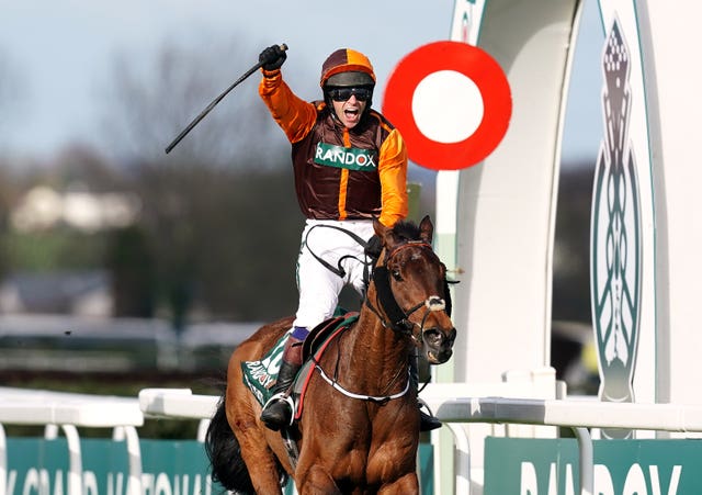 Waley-Cohen celebrates his Grand National triumph in his final ride on Noble Yeats, which was bought by his father Robert Waley-Cohen earlier this year