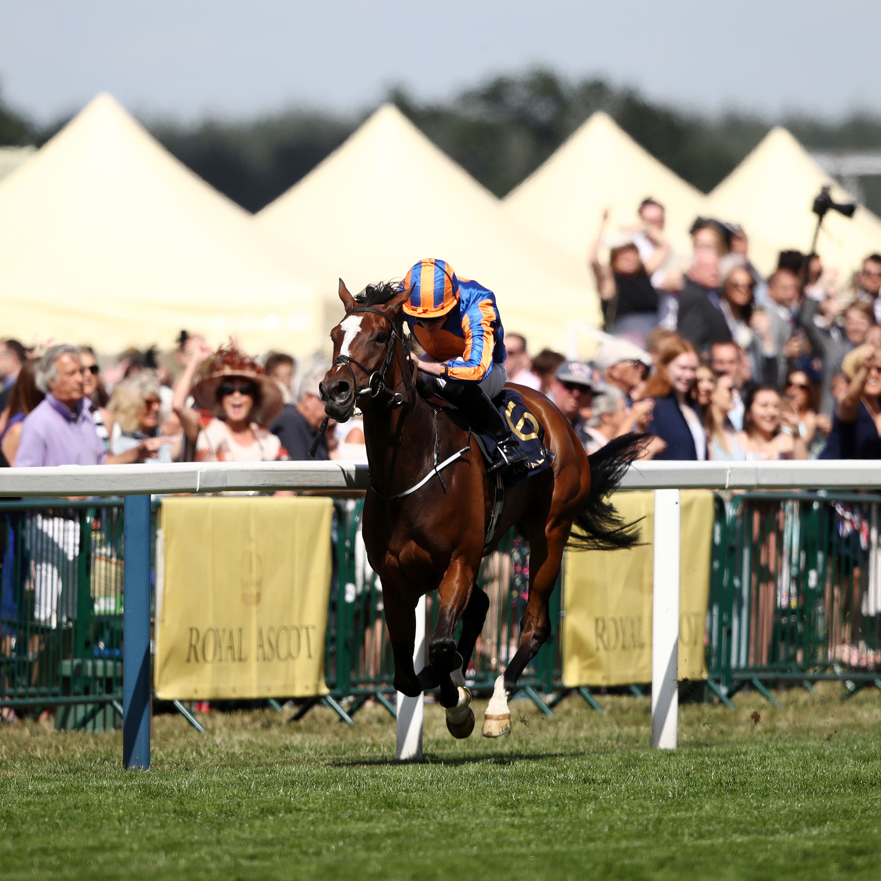 Magic Wand strolls to victory in the Ribblesdale at Ascot