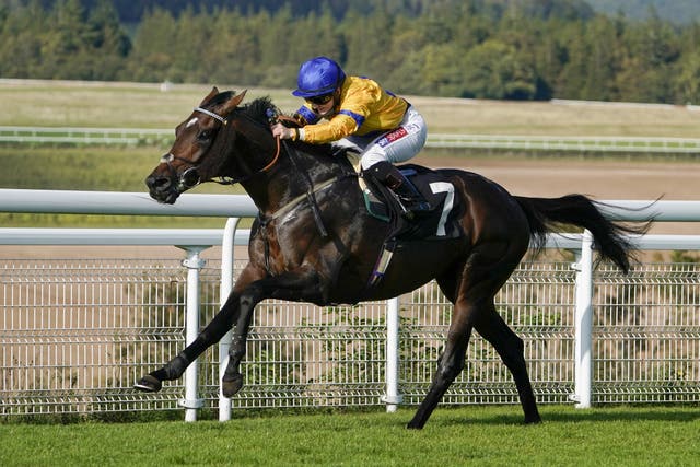 Stag Horn winning The Royal Sussex Regiment Handicap at Goodwood 