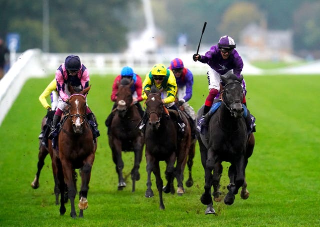 Via Sistina (left) ran a tremendous race in the Champion Stakes 