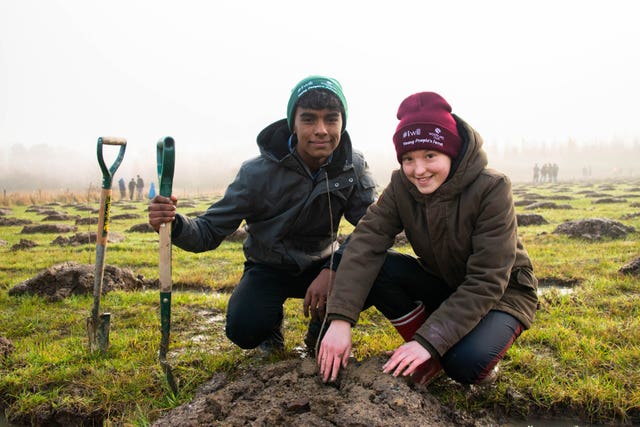 Tree planting to combat climate change