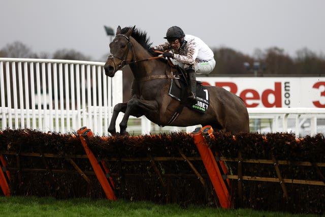 Constitution Hill winning the Tolworth Novices’ Hurdle 