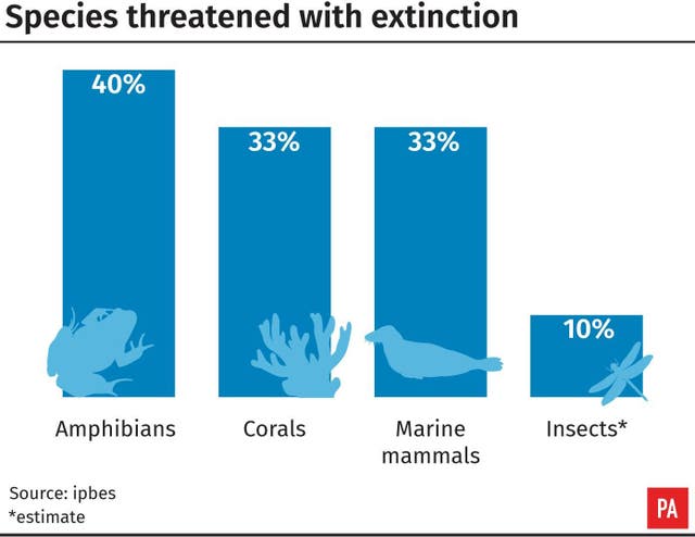 ENVIRONMENT Biodiversity