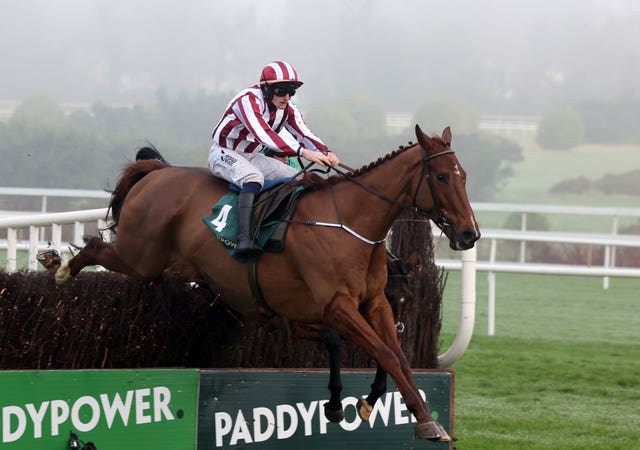 Jeannot Lapin was a shock winner at Leopardstown over Christmas 