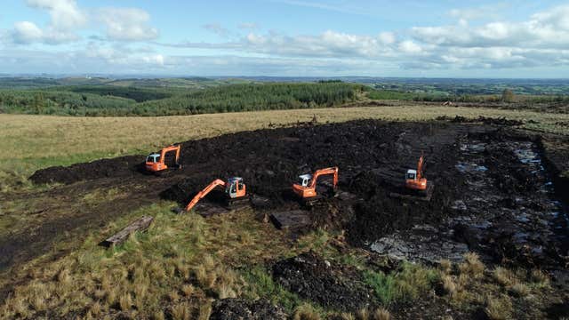 Columba McVeigh search