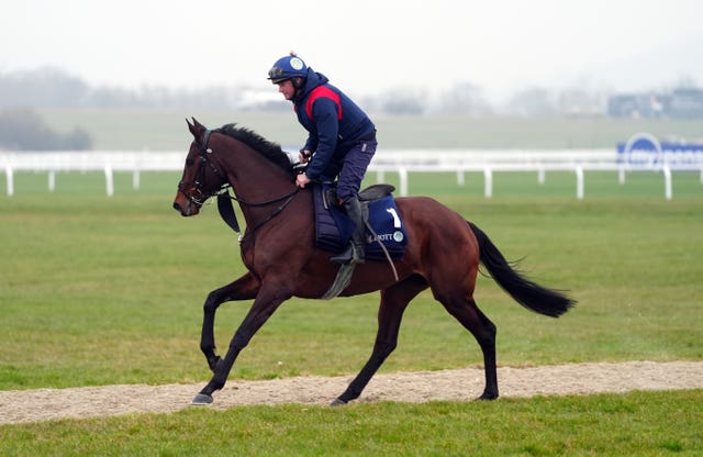 Brighterdaysahead at Cheltenham 