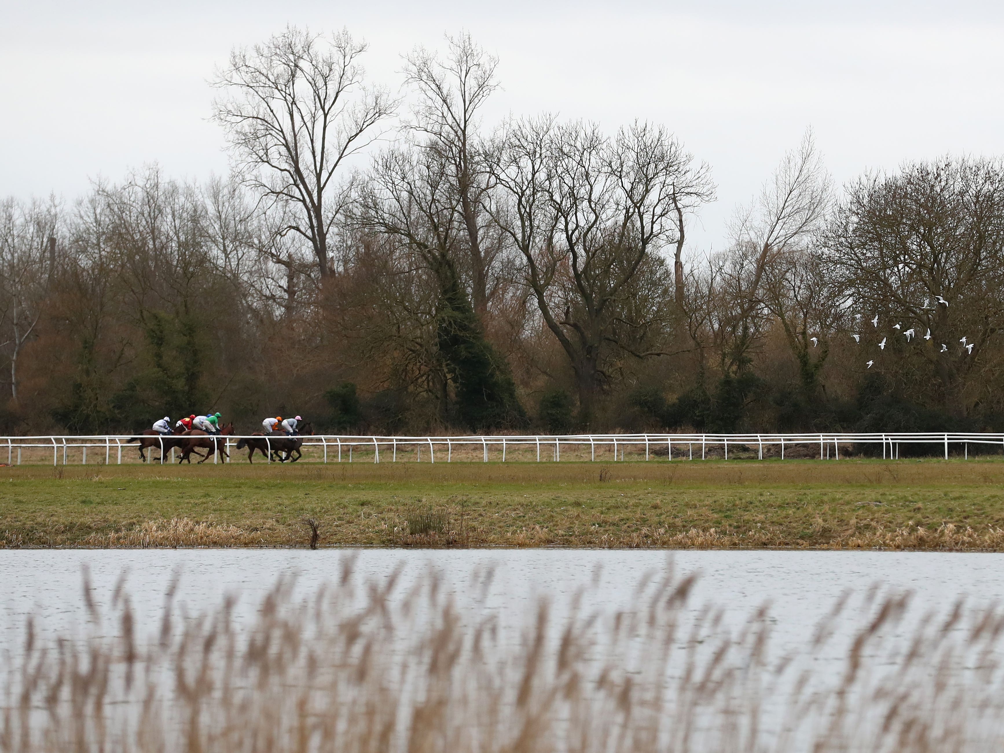 No one hurt in grandstand fire at Huntingdon racecourse | PA Sport | gg 