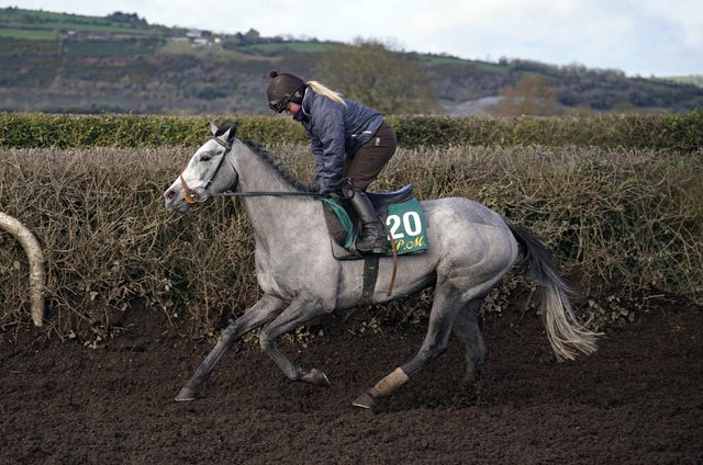 Lossiemouth has the Mares' Hurdle as her Festival target