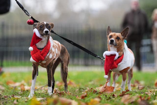 Christmas Jumper Parade