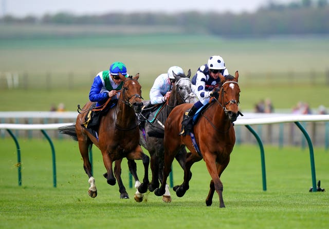 Rebel Territory (right) leads the way at Newmarket 