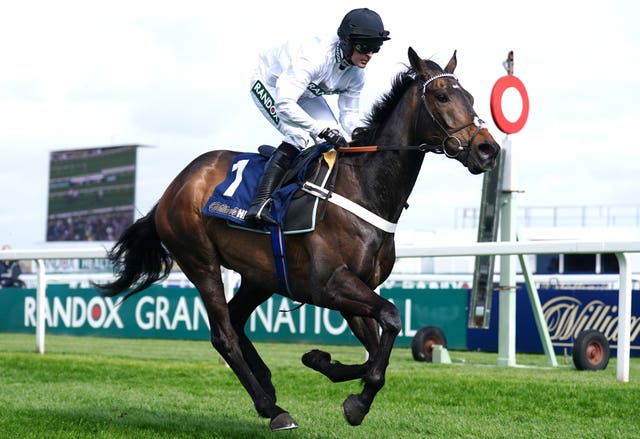 Constitution Hill was an Aintree winner last year