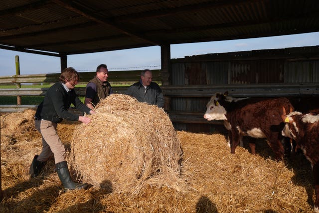 Ed Davey farm visit in Norfolk