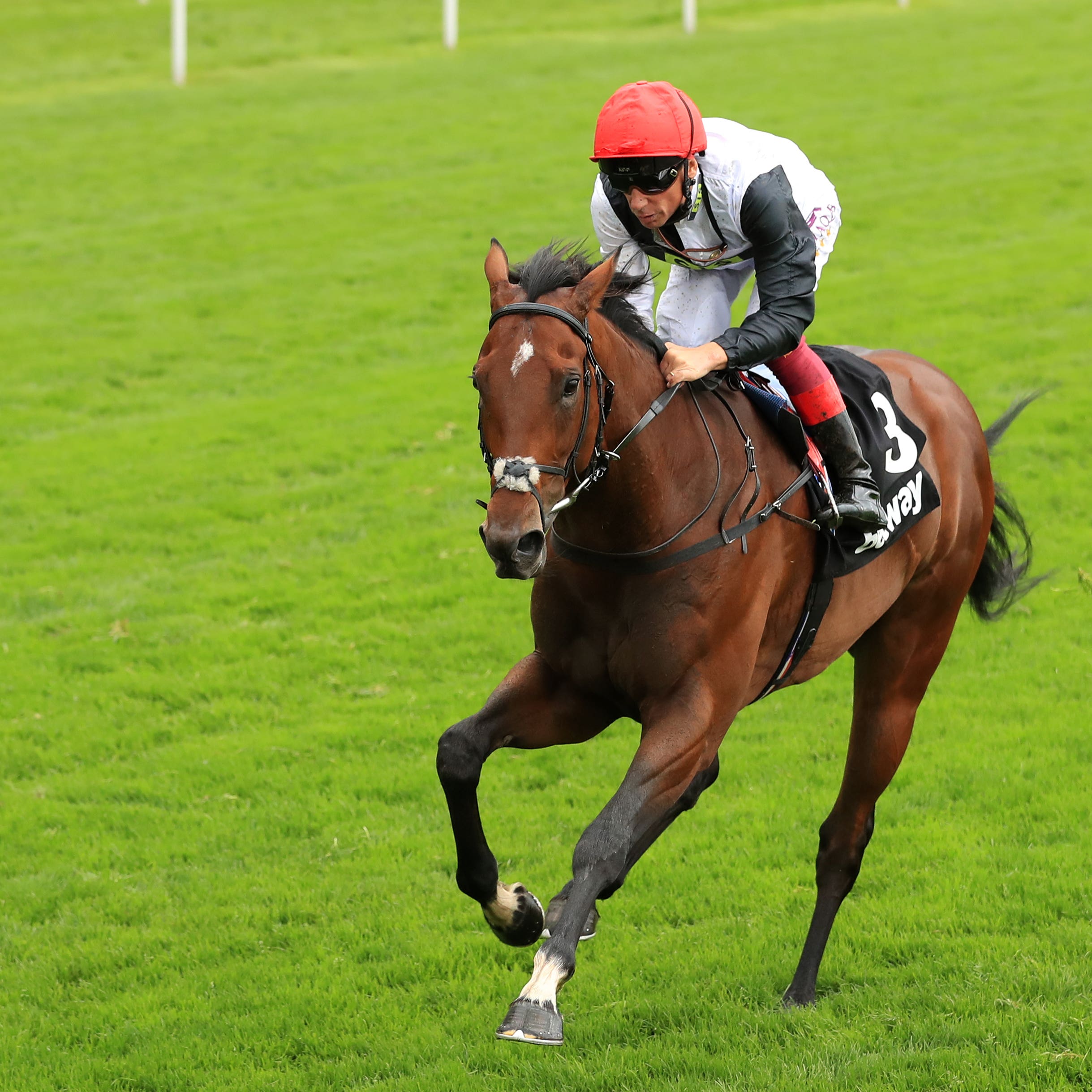 Cracksman is bidding to sign off his career in style