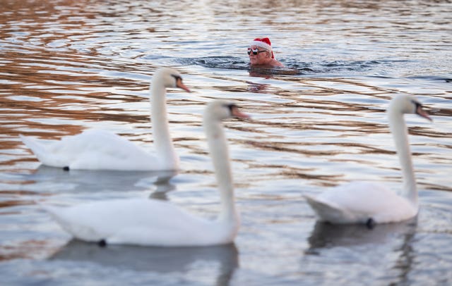 Christmas Serpentine swim 