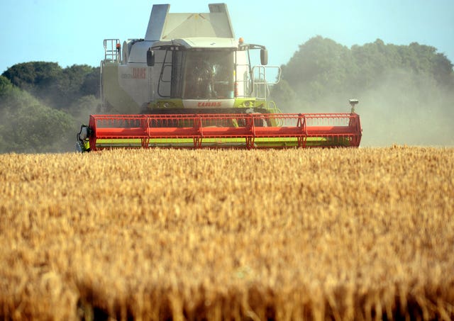 Crops being harvested