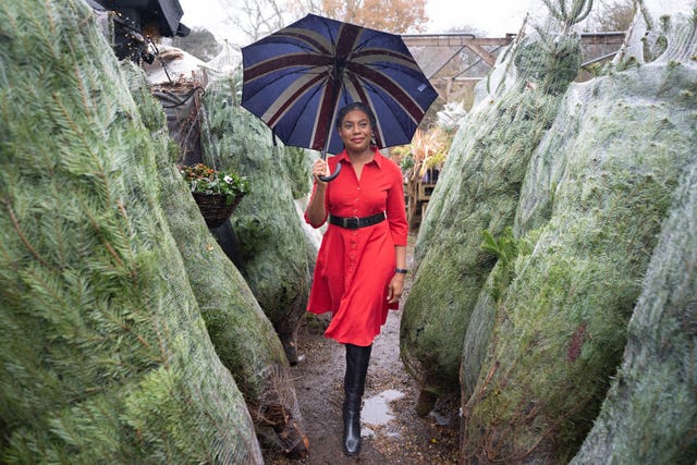 Kemi Badenoch buys a Christmas tree