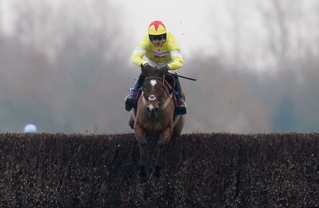 Hermes Allen was a Newbury winner on his chasing bow