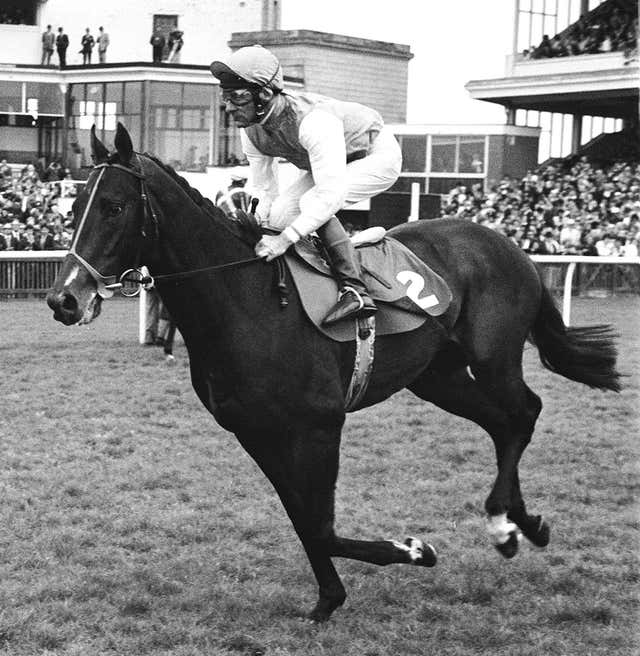 Dancing Brave, seen here at Newmarket