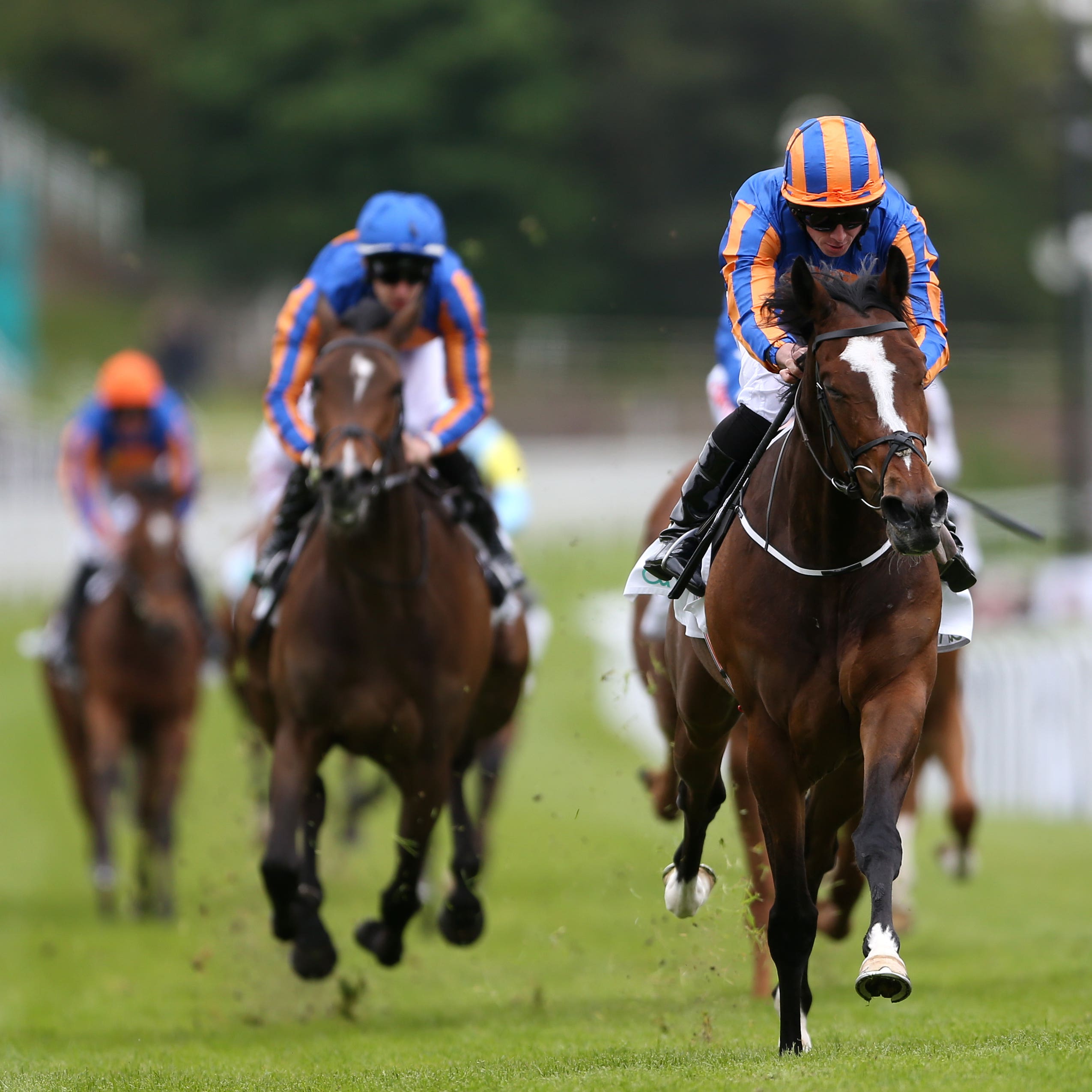 Magic Wand (Tim Goode/PA)