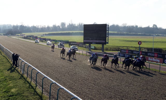 Lingfield raced on the all-weather track on Saturday 