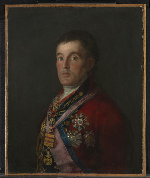 Duke of Wellington portrait