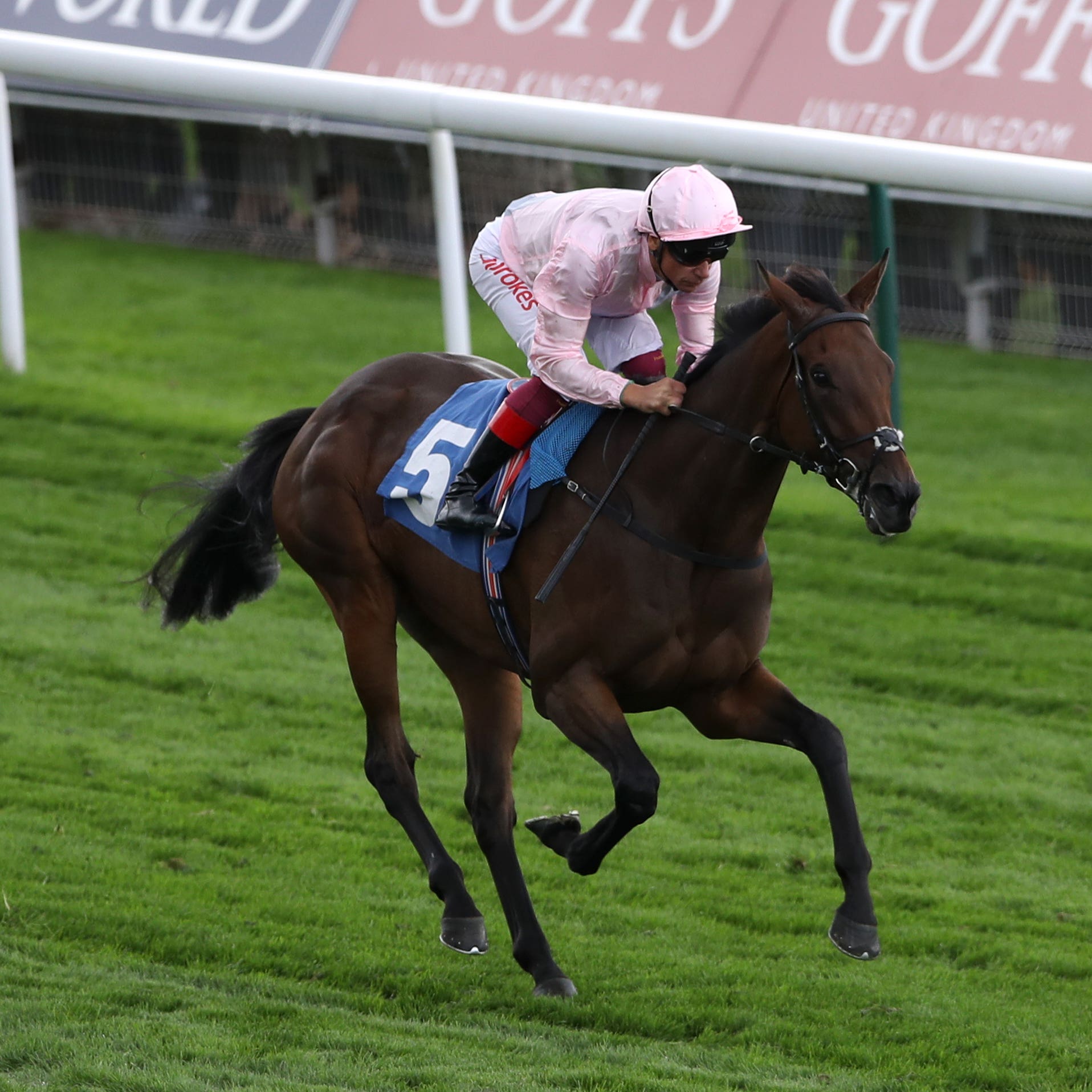 Lah Ti Dar eases to victory in the Galtres Stakes at York