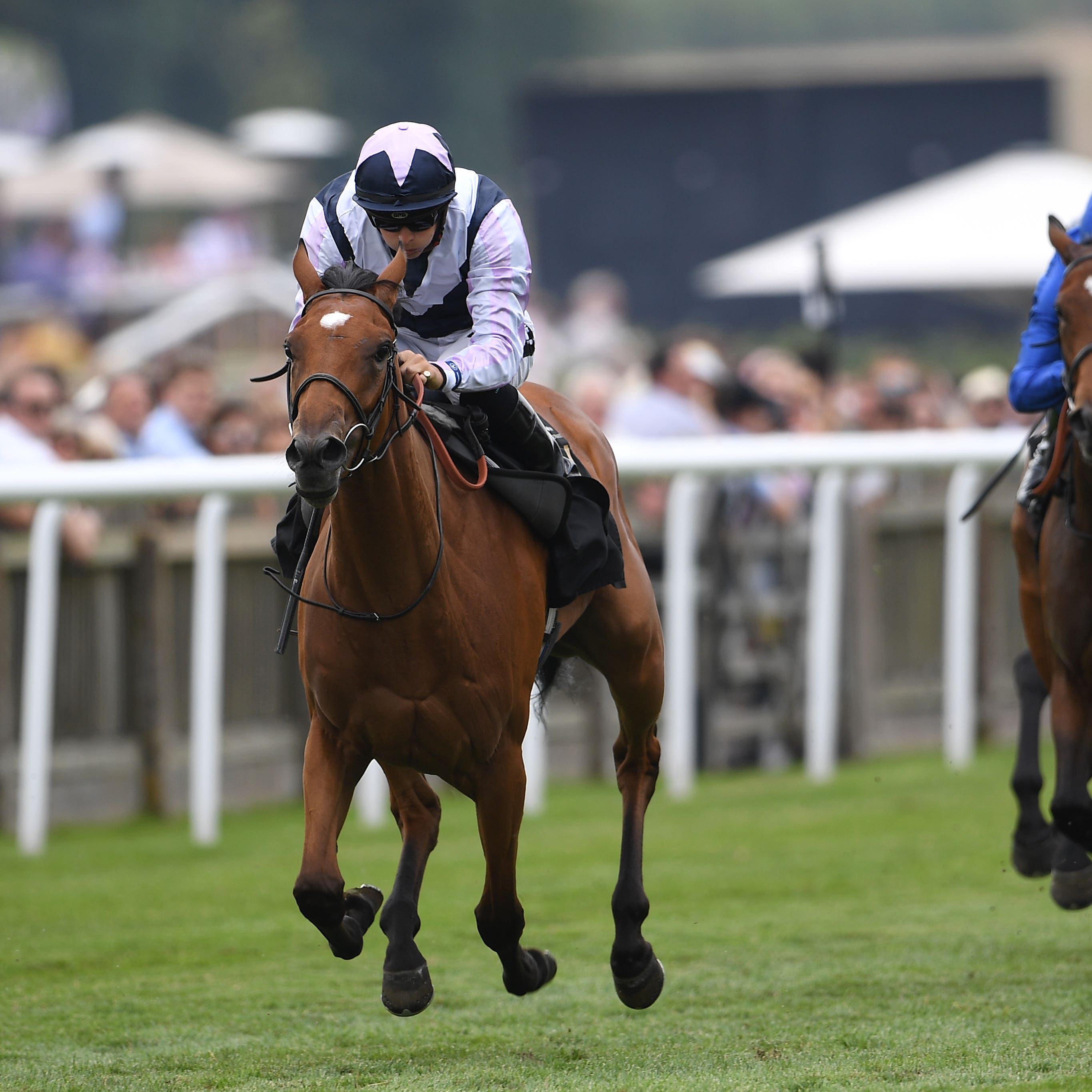 Antonia De Vega, seen here winning at Newmarket last term