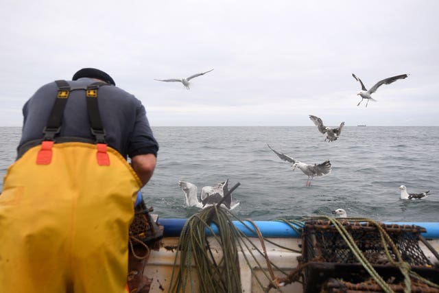 Shortage of crab fishermen in Cromer 'a real concern' - AOL