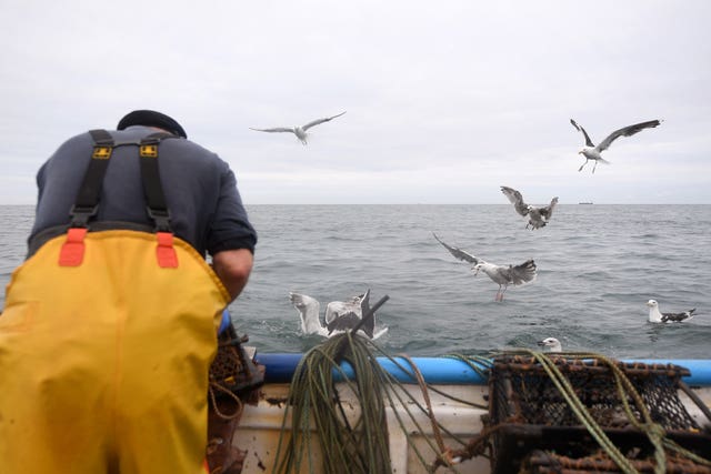 Cromer crab fishermen shortage