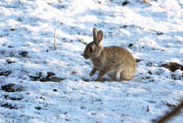 Spring weather Apr 5th 2021