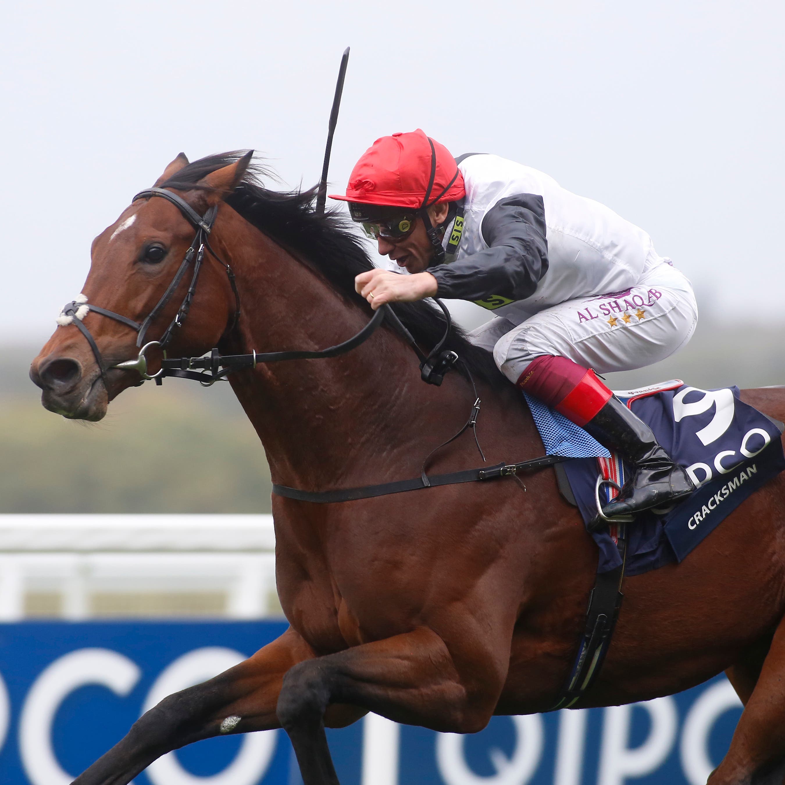 Cracksman is among the acceptors for the Investec Coronation Cup (Julian Herbert/PA)