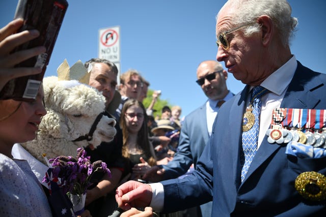 The King reacts after meeting the Hefner alpaca