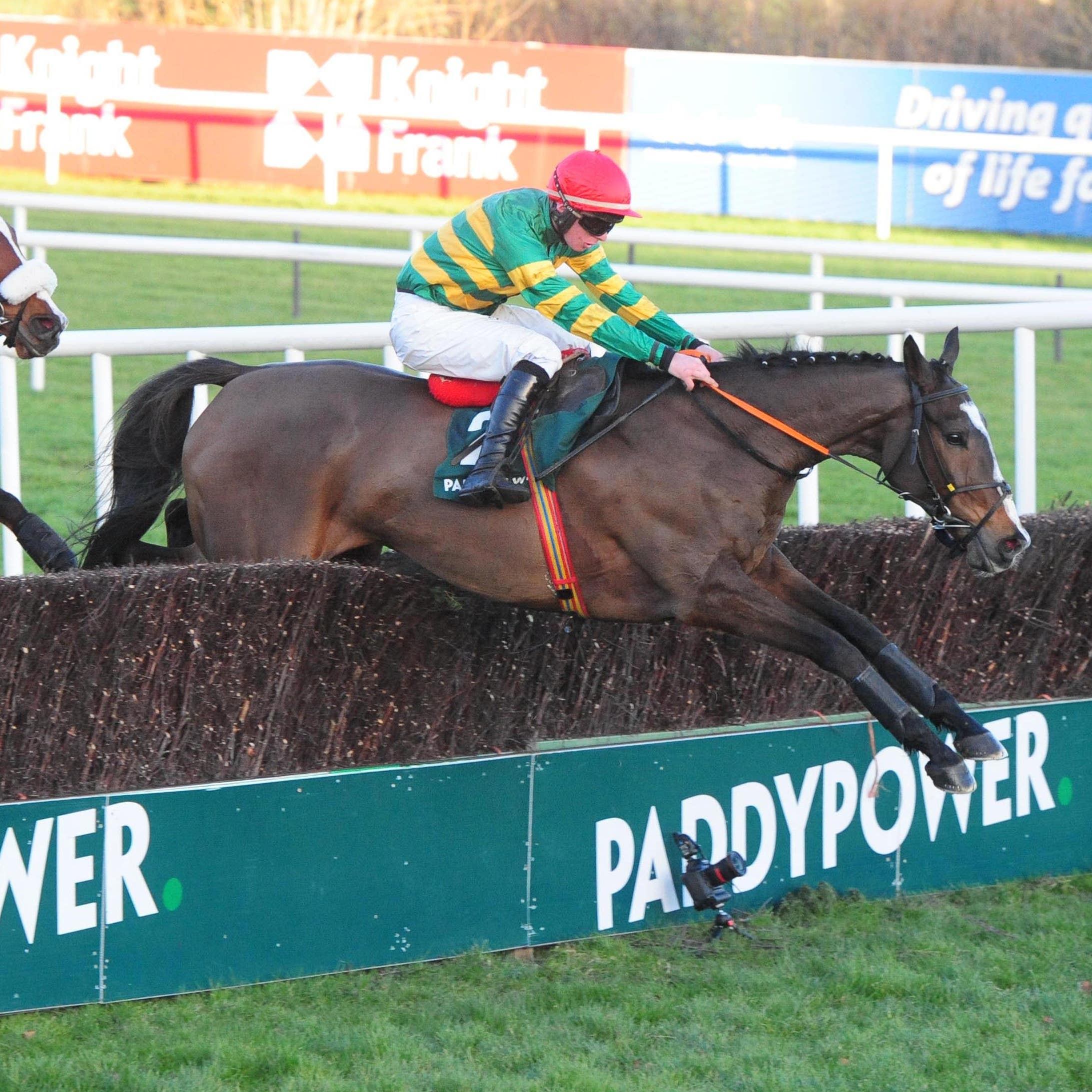 Anibale Fly and Donagh Meyler jump the last on the way to victory at Leopardstown in 2017