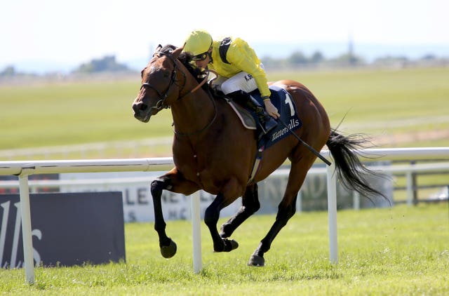 Almaqam was a Group One winner earlier this season