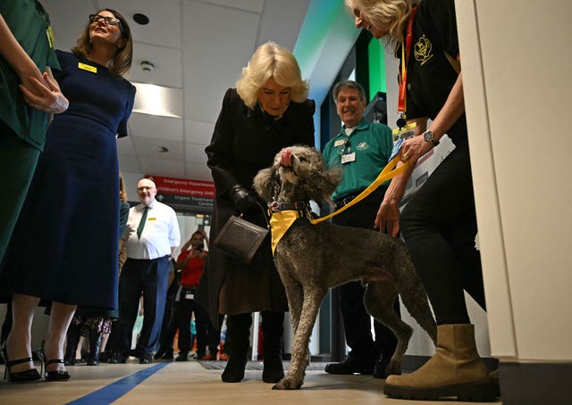 The Queen meets therapy dog Fenton during a tour of the new emergency department (Ben Stansall/PA)