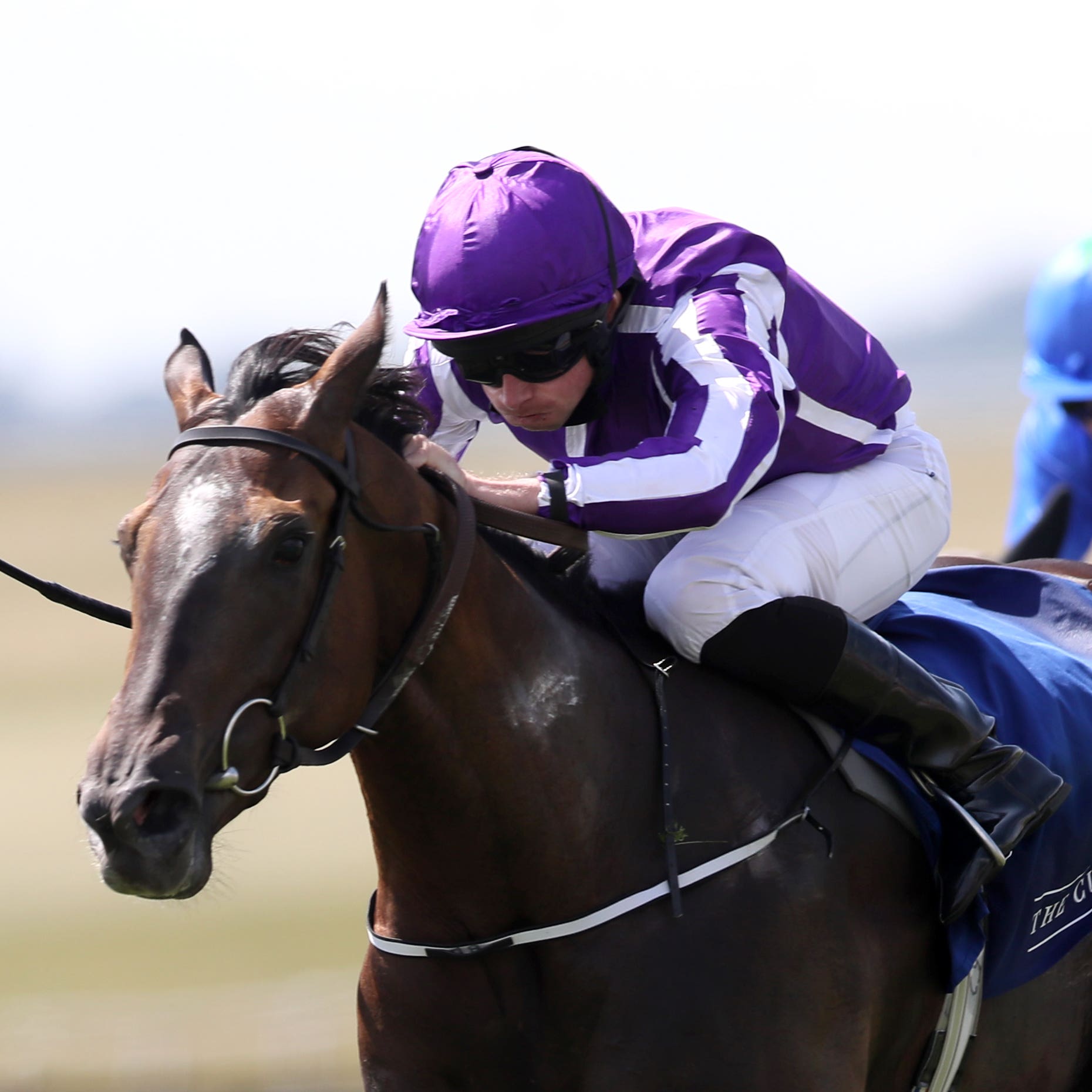 So Perfect is one of the star attractions at Naas on Sunday