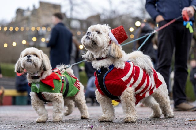 More than 100 dogs in festive outfits and their owners assembled for the ‘Santa Paws’ Christmas event in Princes Street Gardens, Edinburgh 