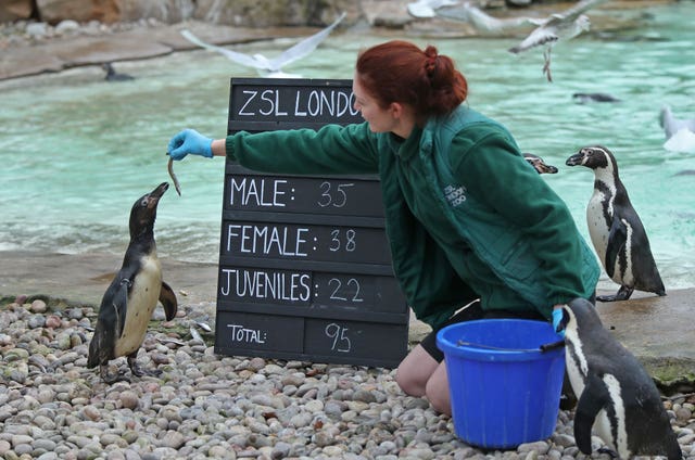 ZSL London Zoo annual stocktake