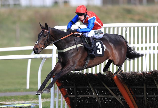 Quinta Do Mar, here winning over hurdles at Market Rasen, is now unbeaten in three runs at Fontwell