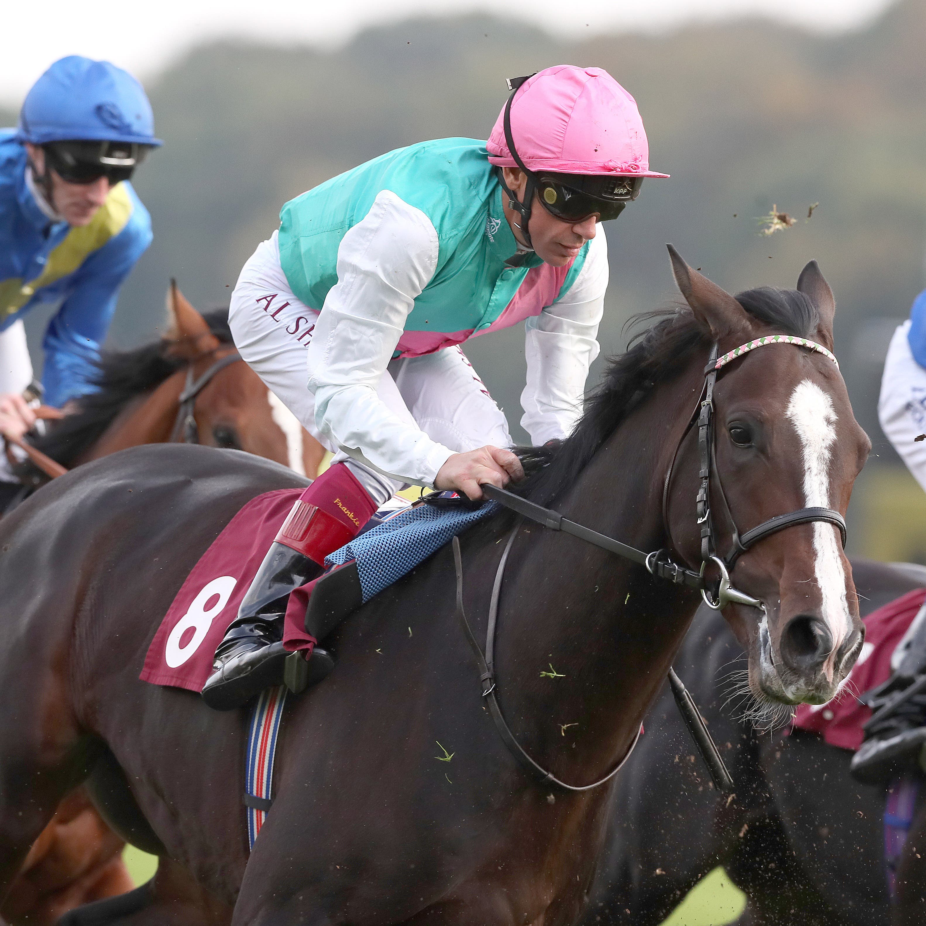 Weekender (pink hat) running at Haydock earlier in his career